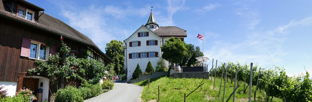 Hochzeitslocation Schloss Weinstein Tipps und Inspiration für eure Hochzeit !